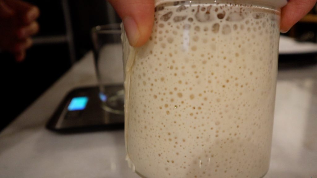 sourdough starter