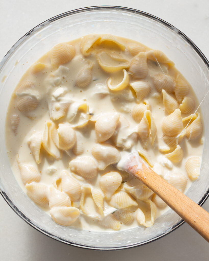 pasta shells in cheese sauce