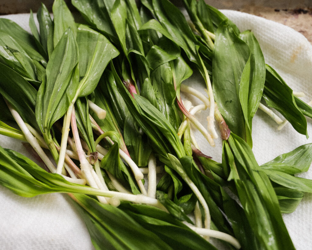 ramps ready for storage